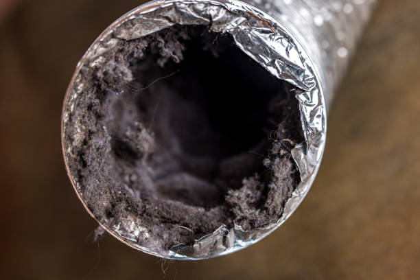 Best Air Duct Mold Removal  in Barre, VT